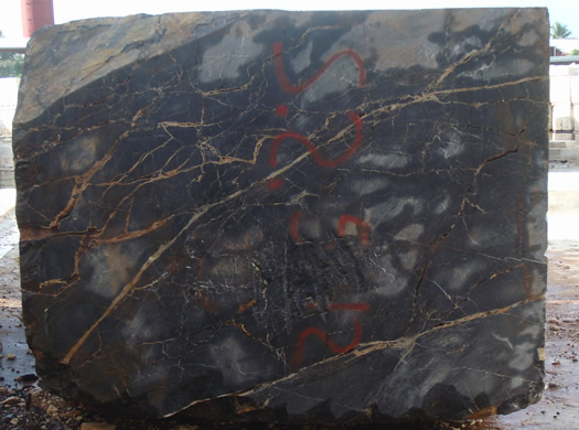 Colonial Coral Saw Cut