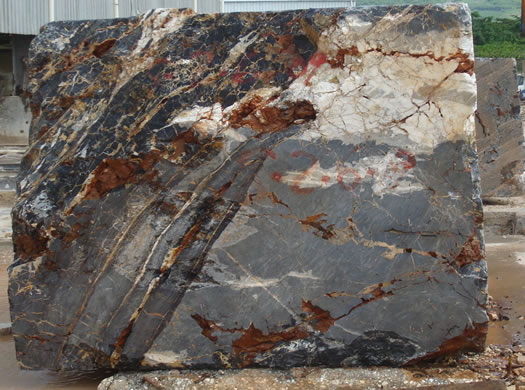 Classic Coral Saw Cut