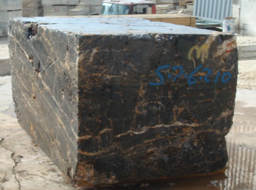Golden Coral Saw Cut