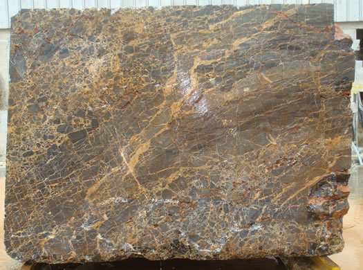 Classic Coral Filled Brushed