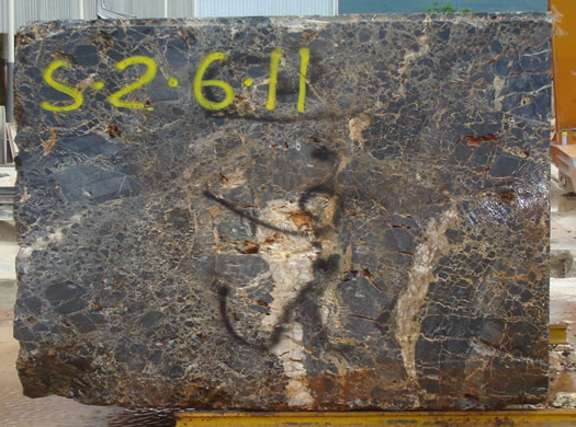 Classic Coral Saw Cut