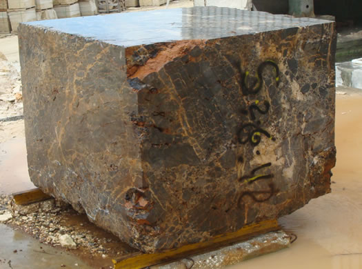 Golden Coral Saw Cut