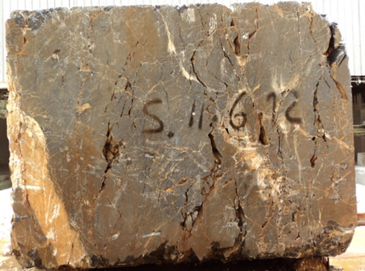 Classic Coral Filled Brushed