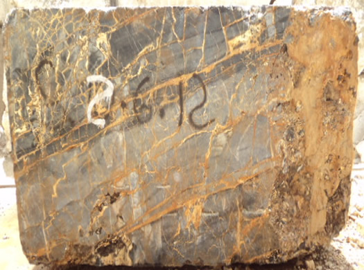 Classic Coral Saw Cut