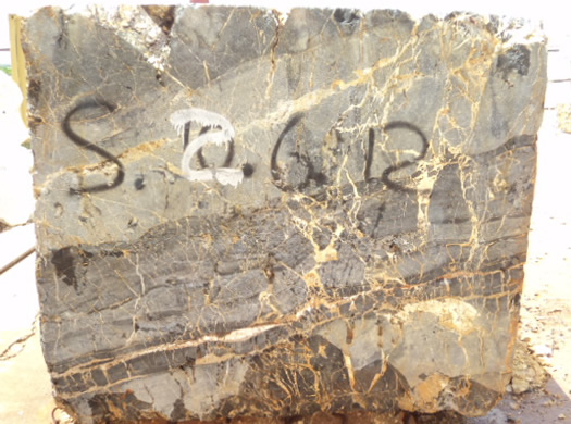 Colonial Coral Saw Cut