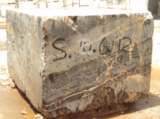 Golden Coral Saw Cut