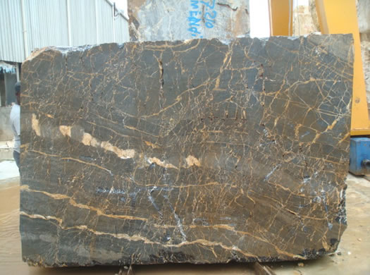 Colonial Coral Saw Cut