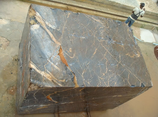 Golden Coral Saw Cut
