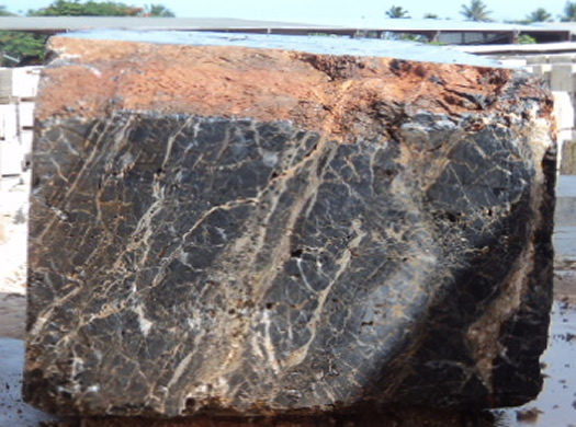 Colonial Coral Saw Cut