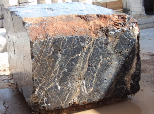 Golden Coral Saw Cut