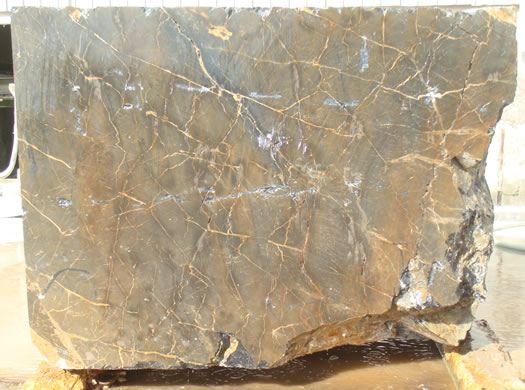 Classic Coral Filled Brushed