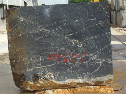 Classic Coral Saw Cut