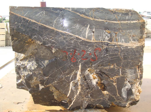 Colonial Coral Saw Cut