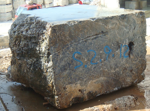 Golden Coral Saw Cut