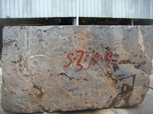 Classic Coral Saw Cut