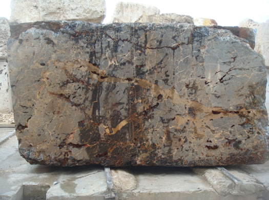 Colonial Coral Saw Cut