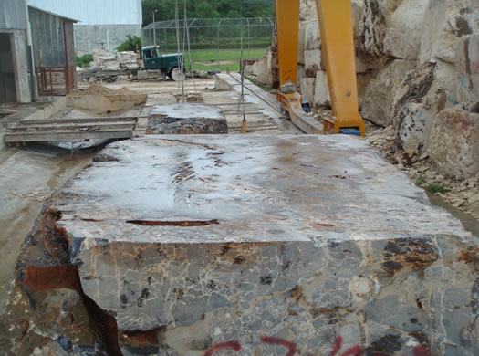 Golden Coral Saw Cut