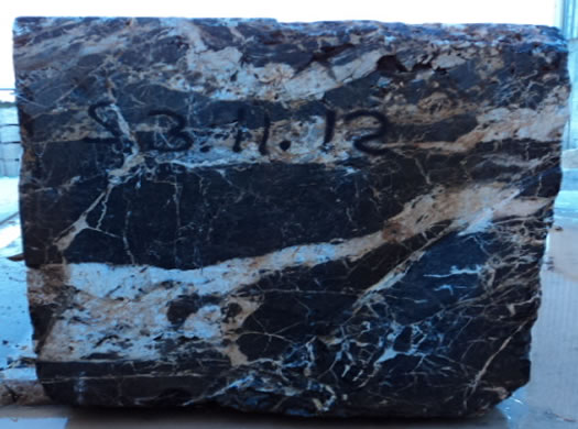 Colonial Coral Saw Cut