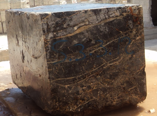 Golden Coral Saw Cut