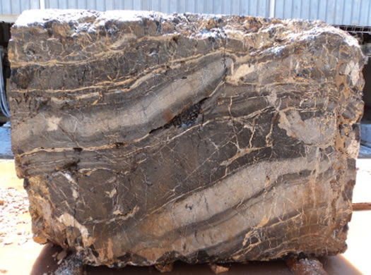 Classic Coral Filled Brushed