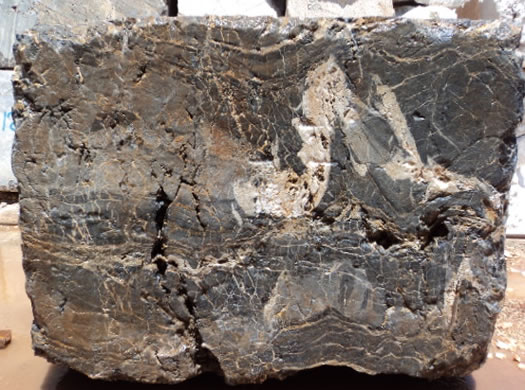 Classic Coral Saw Cut