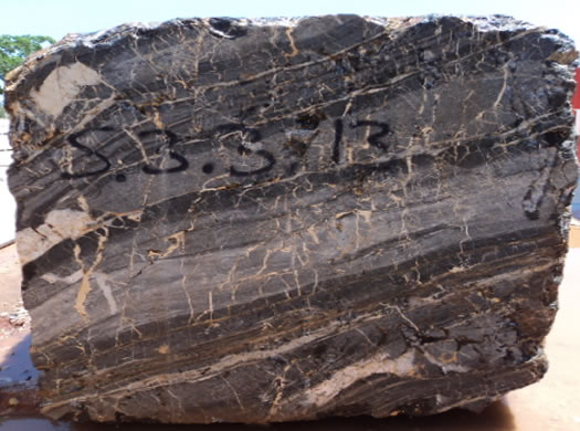 Colonial Coral Saw Cut