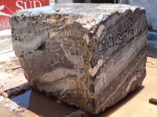 Golden Coral Saw Cut