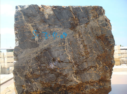 Colonial Coral Saw Cut
