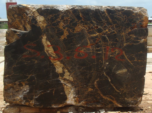 Colonial Coral Saw Cut