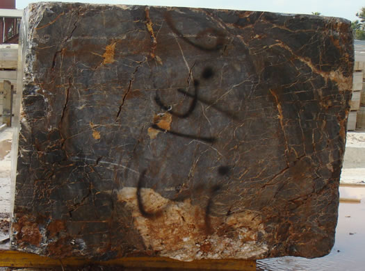 Colonial Coral Saw Cut