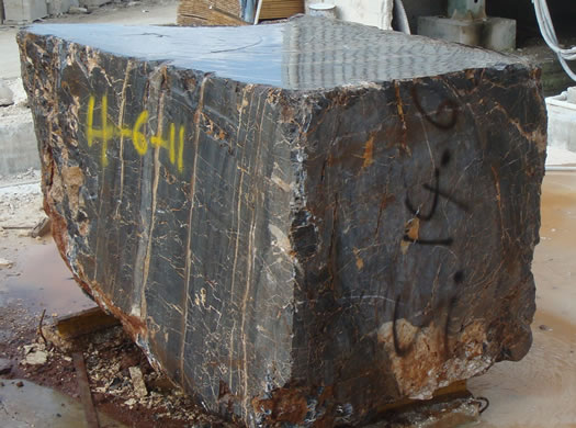 Golden Coral Saw Cut