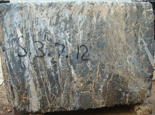 Classic Coral Filled Brushed