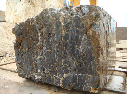 Classic Coral Saw Cut