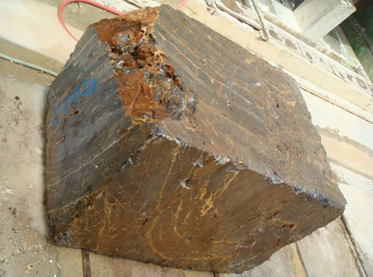 Golden Coral Saw Cut