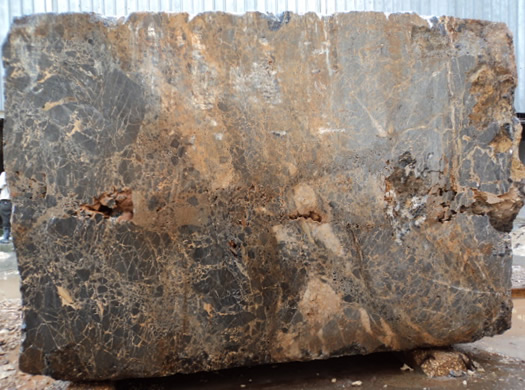 Classic Coral Filled Brushed