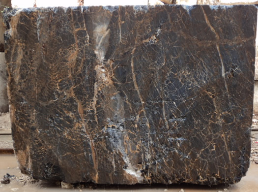 Classic Coral Saw Cut