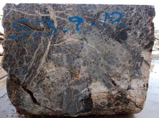 Colonial Coral Saw Cut