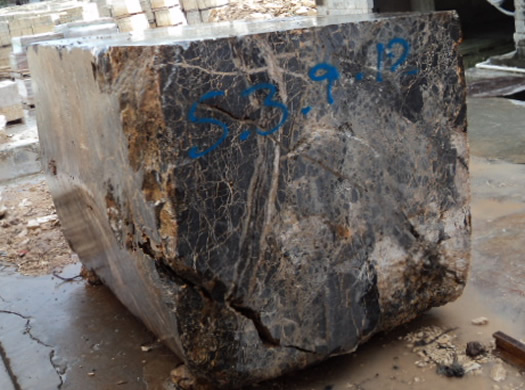 Golden Coral Saw Cut