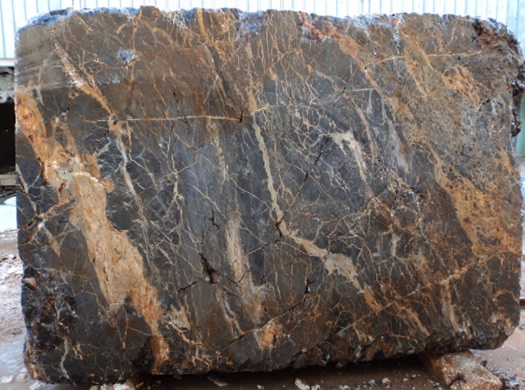 Classic Coral Filled Brushed