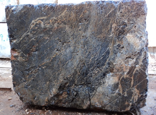 Classic Coral Saw Cut