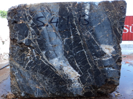 Colonial Coral Saw Cut