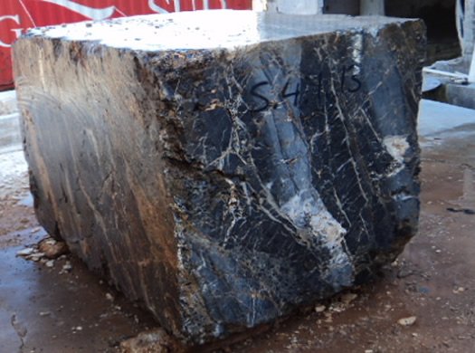 Golden Coral Saw Cut