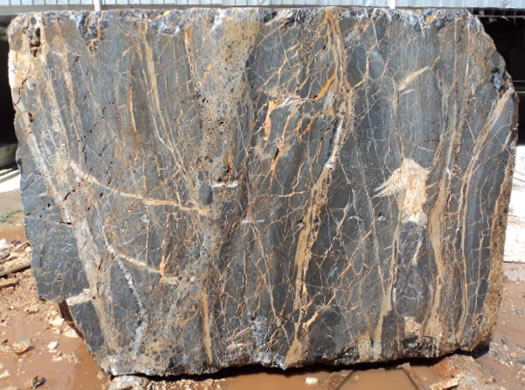 Classic Coral Filled Brushed