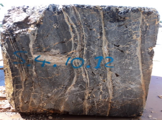 Colonial Coral Saw Cut