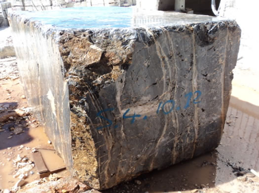 Golden Coral Saw Cut