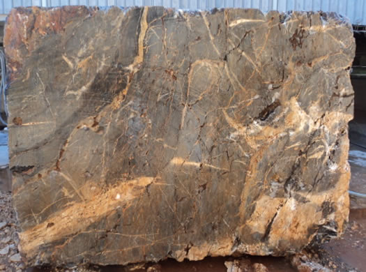 Classic Coral Filled Brushed