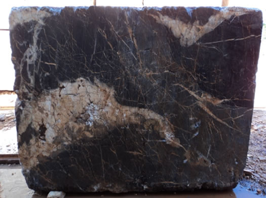 Classic Coral Saw Cut