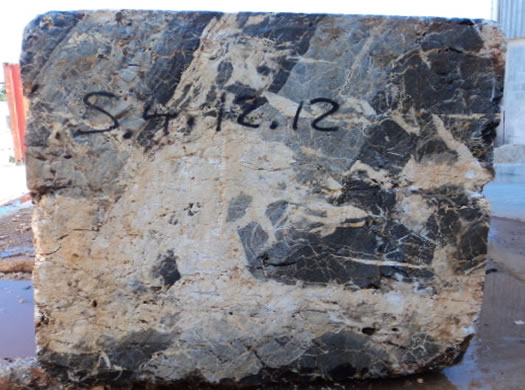 Colonial Coral Saw Cut