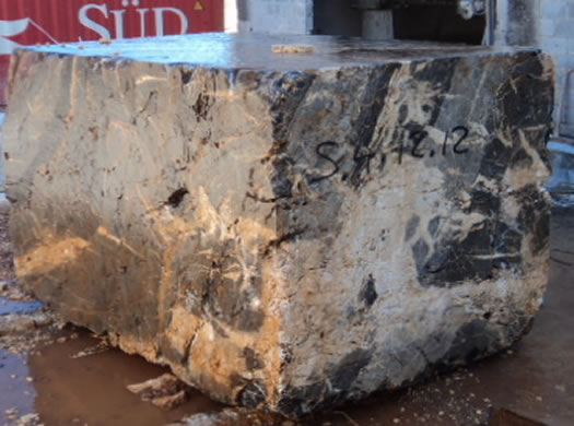 Golden Coral Saw Cut