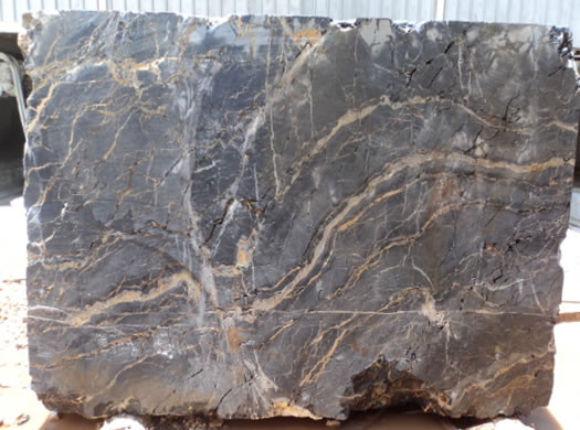 Classic Coral Filled Brushed